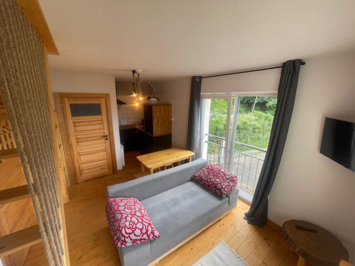 Apartment Apartamentwroznowiepl Roznow