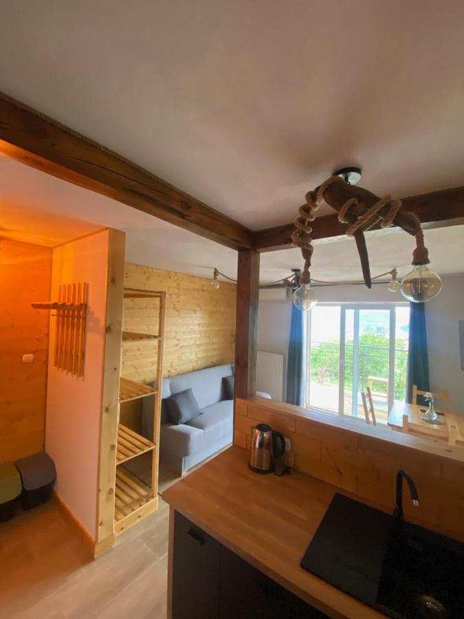 Appartamento Apartamentwroznowiepl *